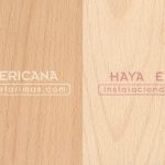 Todas las denominaciones de la madera de haya en otros idiomas