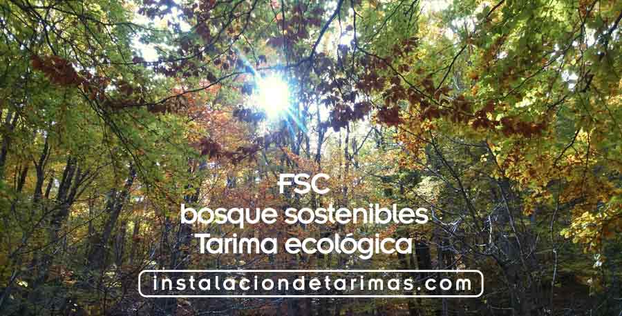 foto de un bosque con el texto FSC, bosques sostenibles, tarima ecologica e instalaciondetarimas.com