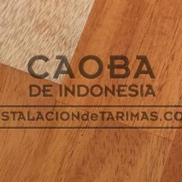 El origen de la madera de caoba de indonesia