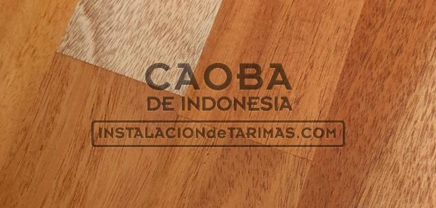 El origen de la madera de caoba de indonesia