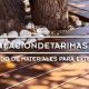 Enumeración de materiales para una instalación de tarima exterior