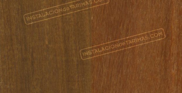 Distinguir el ipé del cumarú