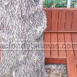 Cómo crear un muro de madera paso a paso muy duradero y de un modo sencillo para el exterior