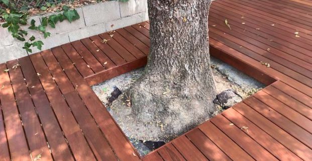 ¿El ipé es la madera más densa?